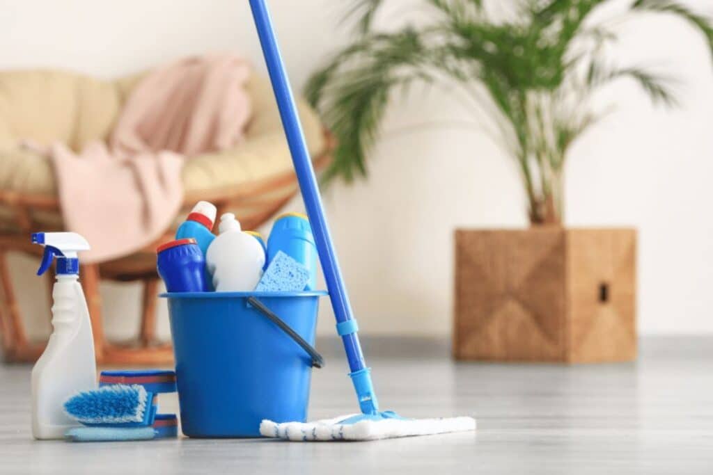 house-cleaning-50-1024x683